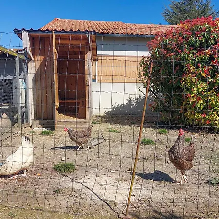 Charmante Maison Proche Ferienhaus Meschers-sur-Gironde