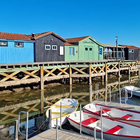 Charmante Maison Proche Dom wakacyjny Meschers-sur-Gironde